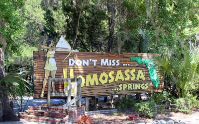 Homosassa Springs Wildlife State Park